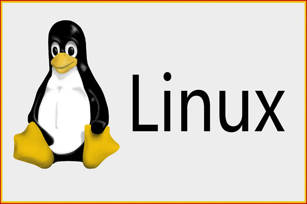 香港服务器托管