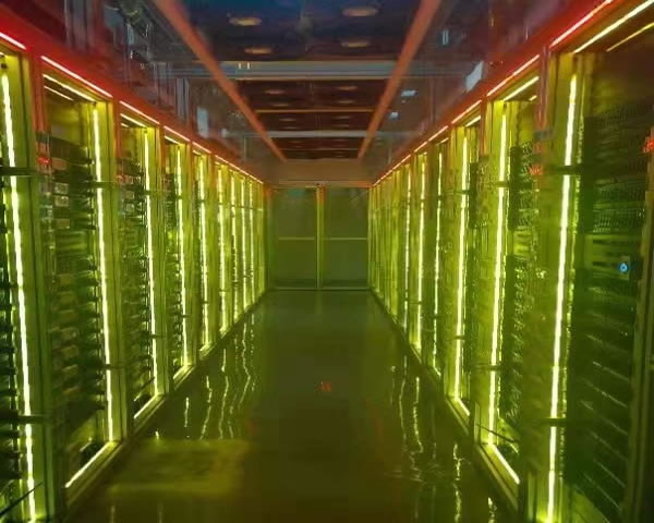 天龙马来西亚服务器的性能评测与用户反馈